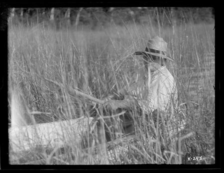 Ojibwe Land and Law